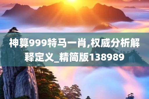 神算999特马一肖,权威分析解释定义_精简版138989