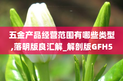 五金产品经营范围有哪些类型,落明版良汇解_解剖版GFH5