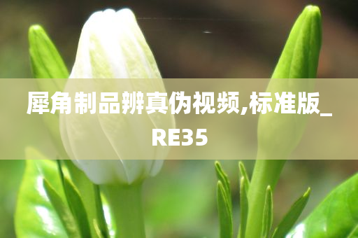 犀角制品辨真伪视频,标准版_RE35