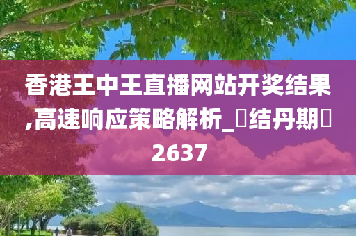 香港王中王直播网站开奖结果,高速响应策略解析_‌结丹期‌2637