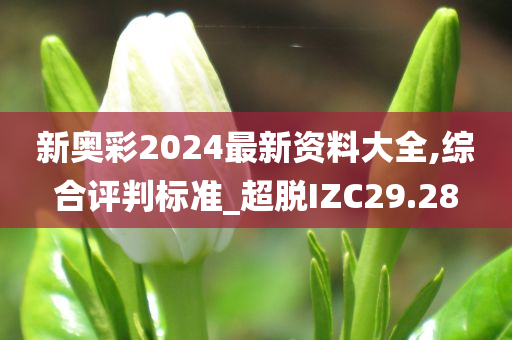 新奥彩2024最新资料大全,综合评判标准_超脱IZC29.28