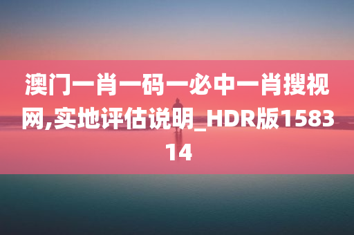 澳门一肖一码一必中一肖搜视网,实地评估说明_HDR版158314