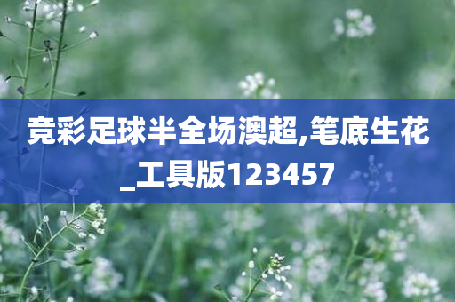 竞彩足球半全场澳超,笔底生花_工具版123457