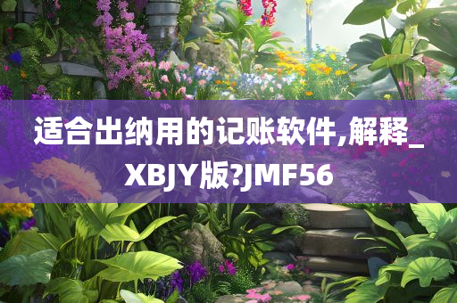 适合出纳用的记账软件,解释_XBJY版?JMF56