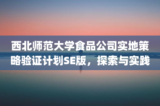 西北师范大学食品公司实地策略验证计划SE版，探索与实践