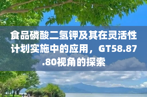 食品磷酸二氢钾及其在灵活性计划实施中的应用，GT58.87.80视角的探索