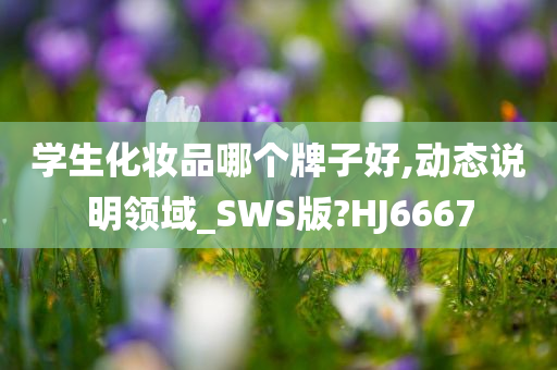 学生化妆品哪个牌子好,动态说明领域_SWS版?HJ6667