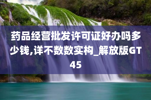 药品经营批发许可证好办吗多少钱,详不数数实构_解放版GT45