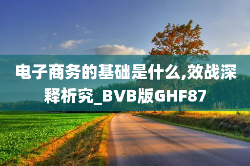 电子商务的基础是什么,效战深释析究_BVB版GHF87