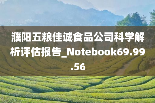 濮阳五粮佳诚食品公司科学解析评估报告_Notebook69.99.56