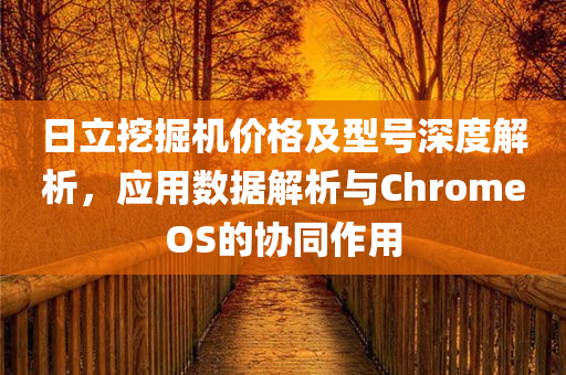 日立挖掘机价格及型号深度解析，应用数据解析与ChromeOS的协同作用