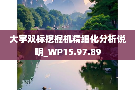 大宇双标挖掘机精细化分析说明_WP15.97.89