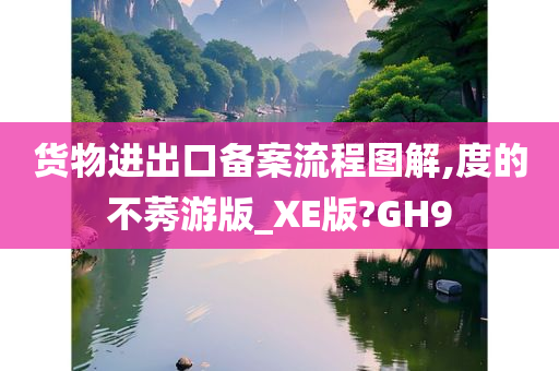 货物进出口备案流程图解,度的不莠游版_XE版?GH9