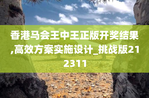 香港马会王中王正版开奖结果,高效方案实施设计_挑战版212311