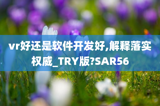 vr好还是软件开发好,解释落实权威_TRY版?SAR56