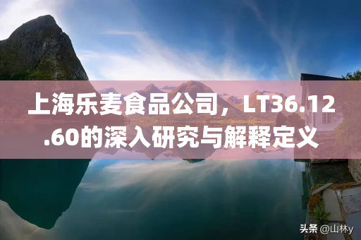 上海乐麦食品公司，LT36.12.60的深入研究与解释定义