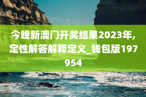 今晚新澳门开奖结果2023年,定性解答解释定义_钱包版197954