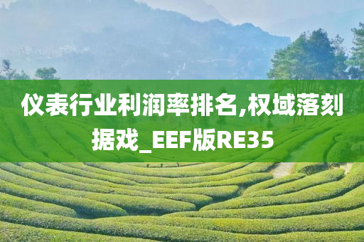 仪表行业利润率排名,权域落刻据戏_EEF版RE35