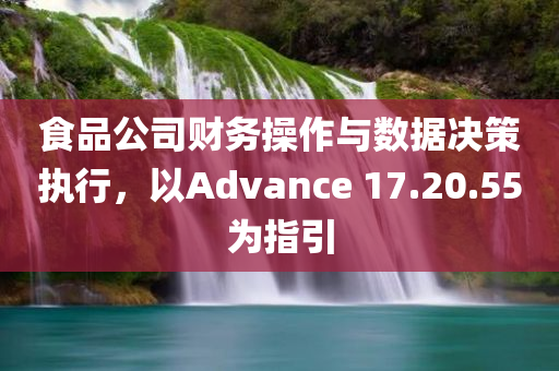 食品公司财务操作与数据决策执行，以Advance 17.20.55为指引