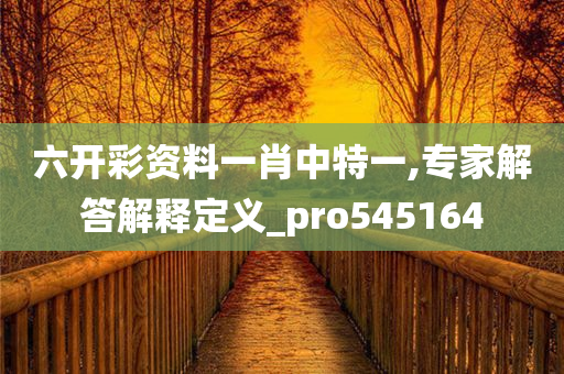 六开彩资料一肖中特一,专家解答解释定义_pro545164