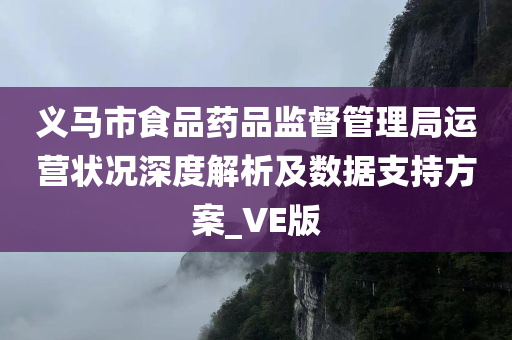 义马市食品药品监督管理局运营状况深度解析及数据支持方案_VE版