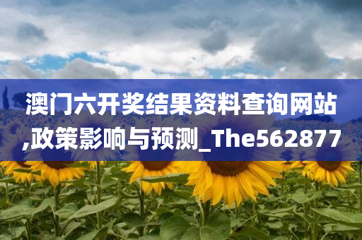 澳门六开奖结果资料查询网站,政策影响与预测_The562877