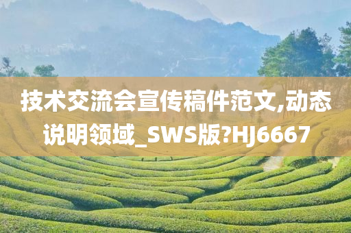 技术交流会宣传稿件范文,动态说明领域_SWS版?HJ6667