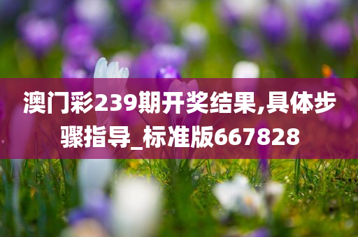 澳门彩239期开奖结果,具体步骤指导_标准版667828