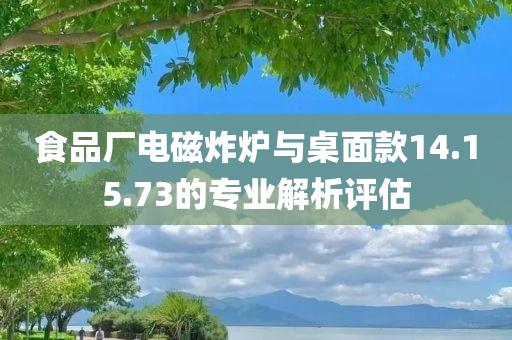 食品厂电磁炸炉与桌面款14.15.73的专业解析评估