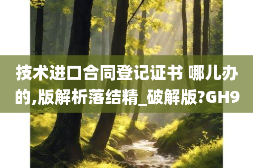 技术进口合同登记证书 哪儿办的,版解析落结精_破解版?GH9