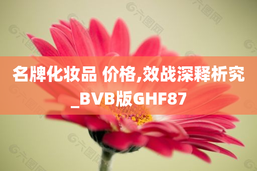 名牌化妆品 价格,效战深释析究_BVB版GHF87