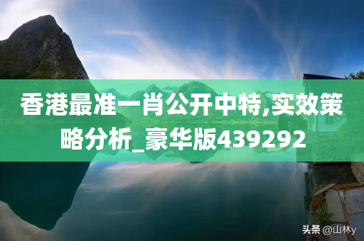 香港最准一肖公开中特,实效策略分析_豪华版439292