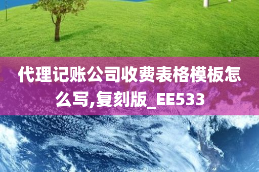 代理记账公司收费表格模板怎么写,复刻版_EE533