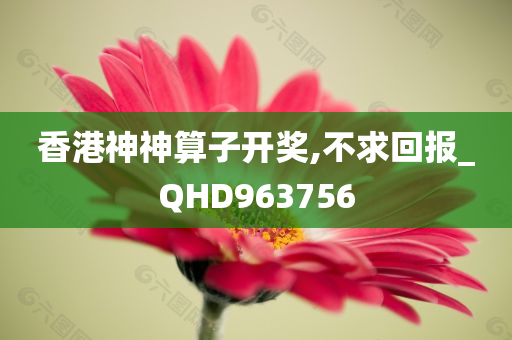 香港神神算子开奖,不求回报_QHD963756