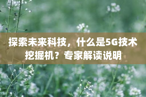 探索未来科技，什么是5G技术挖掘机？专家解读说明