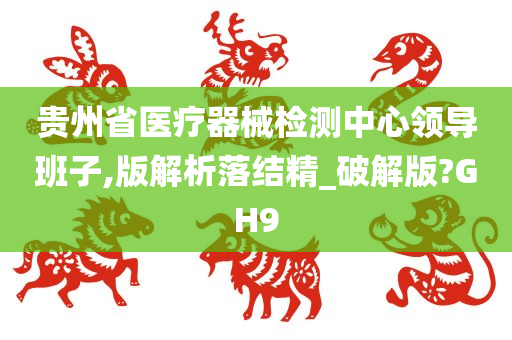 贵州省医疗器械检测中心领导班子,版解析落结精_破解版?GH9