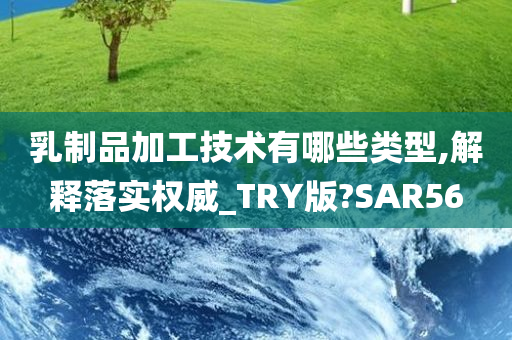 乳制品加工技术有哪些类型,解释落实权威_TRY版?SAR56