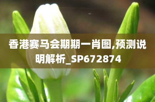 香港赛马会期期一肖图,预测说明解析_SP672874