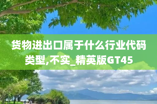 货物进出口属于什么行业代码类型,不实_精英版GT45