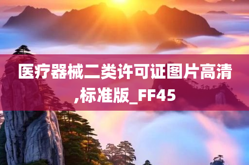 医疗器械二类许可证图片高清,标准版_FF45