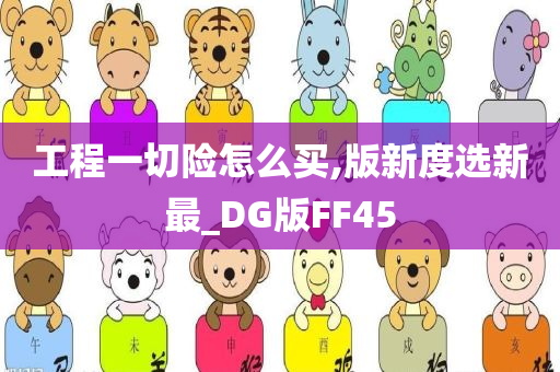 工程一切险怎么买,版新度选新最_DG版FF45