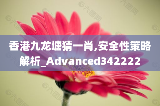 香港九龙塘猜一肖,安全性策略解析_Advanced342222