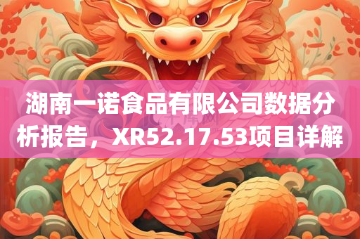 湖南一诺食品有限公司数据分析报告，XR52.17.53项目详解