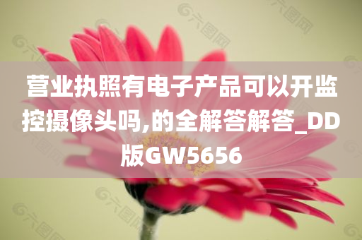 营业执照有电子产品可以开监控摄像头吗,的全解答解答_DD版GW5656