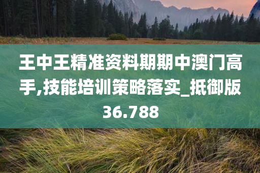 王中王精准资料期期中澳门高手,技能培训策略落实_抵御版36.788