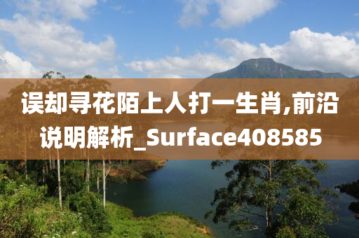 误却寻花陌上人打一生肖,前沿说明解析_Surface408585