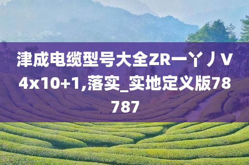 津成电缆型号大全ZR一丫丿V4x10+1,落实_实地定义版78787