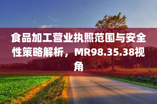 食品加工营业执照范围与安全性策略解析，MR98.35.38视角