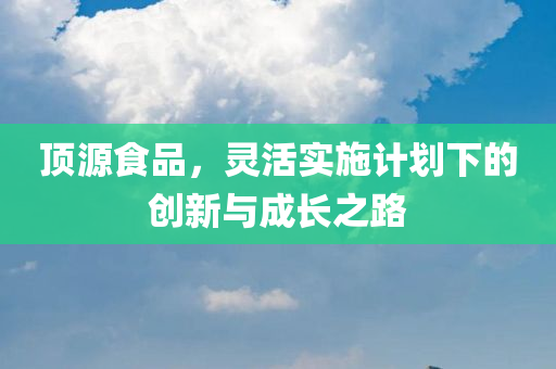 顶源食品，灵活实施计划下的创新与成长之路