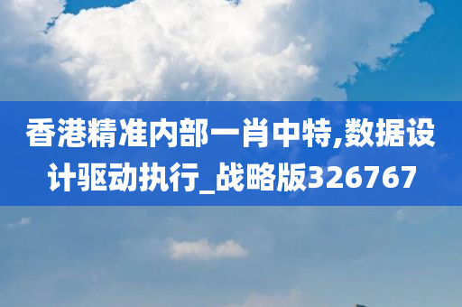 香港精准内部一肖中特,数据设计驱动执行_战略版326767